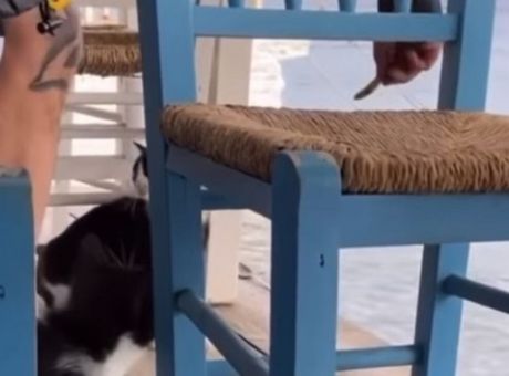 71343524-4ACE-4729-89DF-E524890A1C77