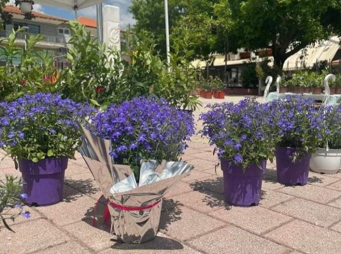 received_672507020673300