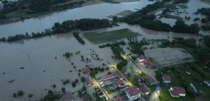 orestiada-plummires-genesis