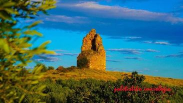 428391350_1852758855239923_7022625974817857861_n