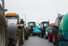 Κρήτη: Αγρότες και κτηνοτρόφοι αναστέλλουν προσωρινά τις κινητοποιήσεις μετά το αιματηρό περιστατικό στα Βορίζια