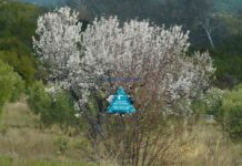 Ο καιρός με μια ματιά (Copy)