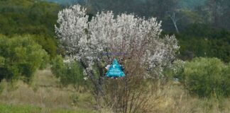 Ο καιρός με μια ματιά (Copy)