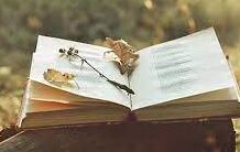 Από τους θρύλους των μαγισσών στη σύγχρονη ιατρική. Τα βότανα του Χάλογουιν που κρύβουν αληθινή μαγεία