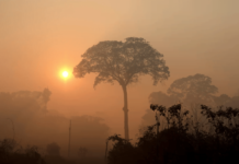 Πόλεμος στη Μέση Ανατολή: Βαρύ περιβαλλοντικό αποτύπωμα και εκπομπές-ρεκόρ