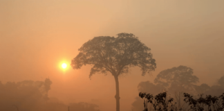 Πόλεμος στη Μέση Ανατολή: Βαρύ περιβαλλοντικό αποτύπωμα και εκπομπές-ρεκόρ