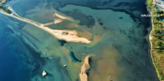 Αντιδράσεις στη Σιθωνία: Στο «σφυρί» 450 τ.μ. στην παραλία Φάβα