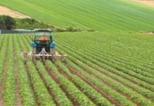 Μαζικό κύμα αποχής από την Agrotica 2026
