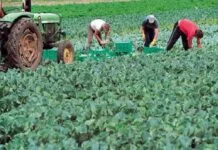 «Ξεπαγώνουν» έως 10 χρόνια ασφάλισης από τον πρώην ΟΓΑ. Ανάσα για χιλιάδες ασφαλισμένους