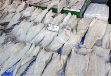 Μπακαλιάρος για την 25η Μαρτίου: Τι να προσέξετε για να μην την πατήσετε και αγοράσετε λινγκ