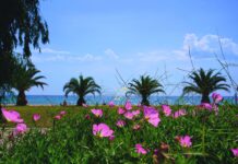 Χειμώνας 2025-2026: Ο δεύτερος θερμότερος στην Ελλάδα από το 1960