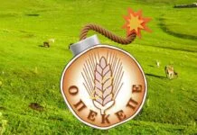 Σκάνδαλο ΟΠΕΚΕΠΕ: Επανακλήτευση Ξυλούρη, γνωστού και ως «Φραπέ», αποφάσισε η Εξεταστική Επιτροπή