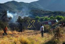 Χαλκιδική: Πότε επιτρέπεται να κάψεις κλαδιά χωρίς άδεια-Τα λάθη που κοστίζουν ακριβά