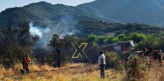 Χαλκιδική: Πότε επιτρέπεται να κάψεις κλαδιά χωρίς άδεια-Τα λάθη που κοστίζουν ακριβά