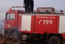 Δύο πυρκαγιές το απόγευμα στη Χαλκιδική. Άμεση επέμβαση της Πυροσβεστικής σε περιοχή της Νέας Προποντίδας και στα Σανά