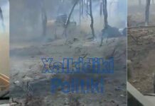 Ευρώπη: Σε επίπεδα ρεκόρ οι εκπομπές διοξειδίου του άνθρακα λόγω των δασικών πυρκαγιών του καλοκαιριού