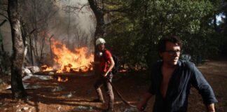 Κατεσβέσθη πυρκαγιά σε μηχάνημα έργου στον δήμο Αριστοτέλη Χαλκιδικής