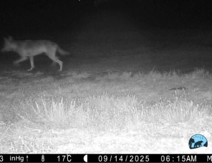 2BD72977-BB4A-4C51-A45F-096866E6F32E