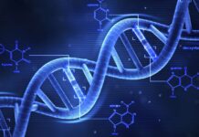 Νέα μελέτη δείχνει ότι τα γονίδια παίζουν μεγάλο ρόλο στη μακροζωία