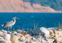 Ο καιρός με μια ματιά