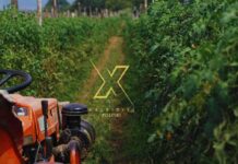 ΑΑΔΕ: Σε λειτουργία η πλατφόρμα για τις υπεύθυνες δηλώσεις αγροτεμαχίων (ΕΑΕ 2025)