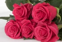 Ποιοι γιορτάζουν σήμερα