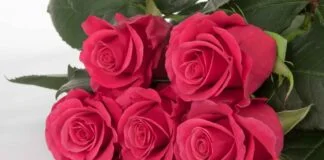 Ποιοι γιορτάζουν σήμερα