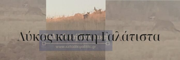 inbound6063422151020433162