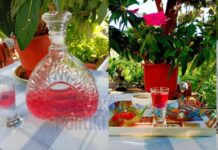 Δύο φίλες από τα Βράσταμα μας “ταρτάρουν” γλυκό κυδώνι και λικεράκι ρόδι. Ας τα δοκιμάσουμε!