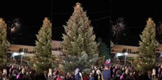 Χαλκιδική: Το πρώτο Χριστουγεννιάτικο δέντρο στην Ελλάδα, ανάβει και πάλι από τον Ταξιάρχη