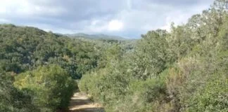 Δήμος Αριστοτέλη: Ολοκληρώθηκε έργο συντήρησης και διάνοιξης αγροτικών δρόμων στη Δημοτική Ενότητα Παναγίας