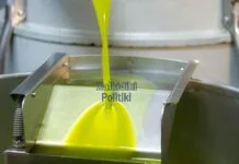 Αγορά ελαιολάδου στις ΗΠΑ, καταναλωτικές τάσεις, premium προϊόντα και απευθείας κανάλια διάθεσης