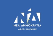 Το νέο Διοικητικό Συμβούλιο της ΔΕΕΠ Χαλκιδικής με πρόεδρο τον Κώστα Μαντζούφα