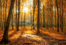 Η φωτογραφία της ημέρας