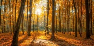 Η φωτογραφία της ημέρας