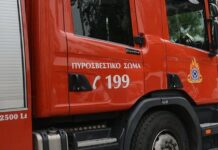 Πρόστιμο 1.000€ για παράνομη καύση στη Χαλκιδική: Χωρίς μέτρα πυροπροστασίας αλλοδαπός