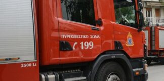 Πρόστιμο 1.000€ για παράνομη καύση στη Χαλκιδική: Χωρίς μέτρα πυροπροστασίας αλλοδαπός