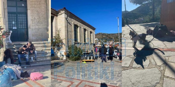 SYKIA TIK TOKER XALKIDIKI POLITIKI