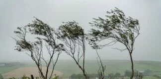 Έκτακτο δελτίο Αρναούτογλου: Θυελλώδεις άνεμοι και έντονο κρύο σε Θεσσαλονίκη, Κιλκίς, Σέρρες και Χαλκιδική