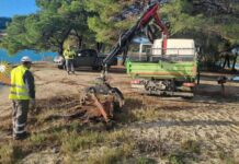 Εργασίες καθαριότητας Δήμου Κασσάνδρας – Με συνέπεια και καθημερινή φροντίδα για τον δημόσιο χώρο