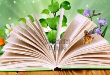 Μια μικρή βιβλιοθήκη…μια μεγάλη αγκαλιά γνώσης ανοίγει τις πόρτες της