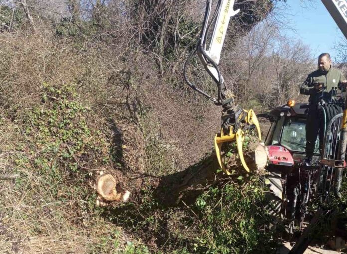 f950b200d8383e94d3fa4b29b84fb0ed