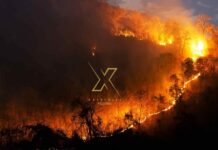 Κίνδυνος πυρκαγιάς στη Χαλκιδική την Τετάρτη-Έκτακτη σύσταση της Πυροσβεστικής