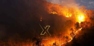 Κίνδυνος πυρκαγιάς στη Χαλκιδική την Τετάρτη-Έκτακτη σύσταση της Πυροσβεστικής