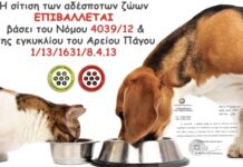 Δήμος Κασσάνδρας: Εθελοντές στην πρώτη γραμμή για τα αδέσποτα ζώα