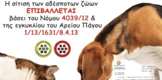 Δήμος Κασσάνδρας: Εθελοντές στην πρώτη γραμμή για τα αδέσποτα ζώα