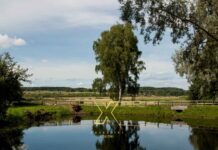 Σκοτεινή υπόθεση στη Χαλκιδική-Αυτό που αποκαλύφθηκε αλλάζει τα δεδομένα