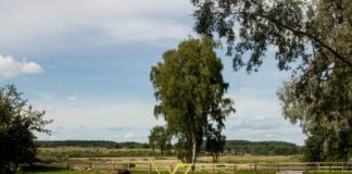 Σκοτεινή υπόθεση στη Χαλκιδική-Αυτό που αποκαλύφθηκε αλλάζει τα δεδομένα