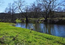 Η φωτογραφία της ημέρας:Ο παραπόταμος του Χαβρία εκεί όπου ξυπνά η φύση