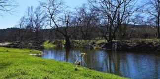 Η φωτογραφία της ημέρας:Ο παραπόταμος του Χαβρία εκεί όπου ξυπνά η φύση